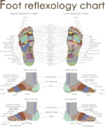 WhatsApp Image 2026-01-10 at 11.23.29 PM